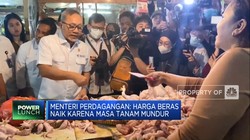 Video: Mendag Zulhas Sebut Harga Beras Naik Karena Masa Tanam Mundur