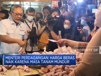 Video: Mendag Zulhas Sebut Harga Beras Naik Karena Masa Tanam Mundur