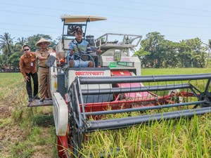 Jateng Mulai Panen Raya, Pj Gubernur Harap Dapat Stabilkan Harga Beras