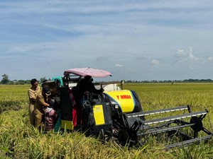 Panen Raya 9.116 Hektare Padi di Kudus, Pj Bupati: Untuk Ketahanan Pangan