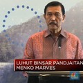 Mind ID Genggam 34% Saham Vale Indonesia, Ini Penjelasan Luhut