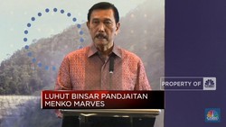 Mind ID Genggam 34% Saham Vale Indonesia, Ini Penjelasan Luhut