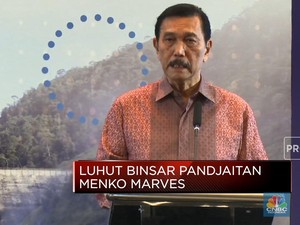 Mind ID Genggam 34% Saham Vale Indonesia, Ini Penjelasan Luhut