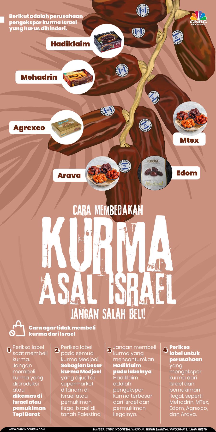 6 Kurma Asal Israel & Cara Membedakannya, Jangan Salah Beli!