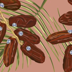 6 Kurma Asal Israel & Cara Membedakannya, Jangan Salah Beli!