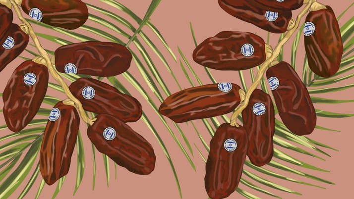 Terungkap! Kurma Israel Diduga Dijual Pakai Label Berbeda