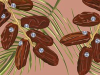 Jangan Salah Pilih! Ini 5 Cara Membedakan Kurma Asal Israel