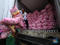 Bos Badan Pangan-Pengusaha Rapat Bahas Bawang Putih, Gini Kondisinya