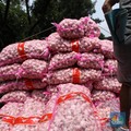 Ini Bukti RI Doyan Impor Bawang Putih dari China Sampai Mesir