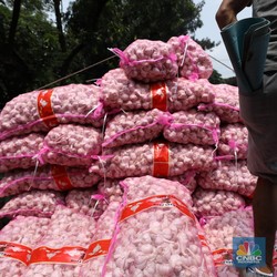 Kantor Moeldoko Sorot Harga Bawang Putih Tinggi, Importir Buka Suara
