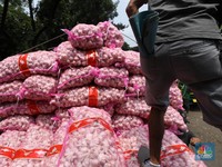 Kantor Moeldoko Sorot Harga Bawang Putih Tinggi, Importir Buka Suara