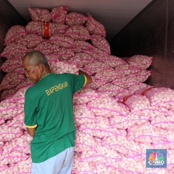 Harga Bawang Putih Pecah Rekor 2023, Ombudsman Duga Ada Penyelewengan