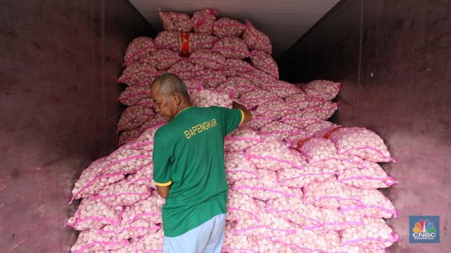 Begini Cara Bawang Putih China Kuasai RI, Petani 'Mati'-Tutup Lahan