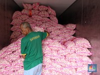 Harga Bawang Putih Pecah Rekor 2023, Ombudsman Duga Ada Penyelewengan