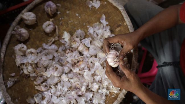 Harga Bawang Putih "Ngamuk" Lagi, Kemendag Kasih Peringatan Importir