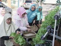 BRInita Sulap Lahan Sempit Jadi Urban Farming Produktif