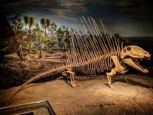 Sang Penguasa Sebelum Dinosaurus