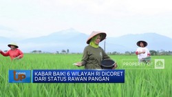 Video: Kabar Baik! 6 Wilayah RI Dicoret Dari Status Rawan Pangan