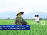 Video: Kabar Baik! 6 Wilayah RI Dicoret Dari Status Rawan Pangan