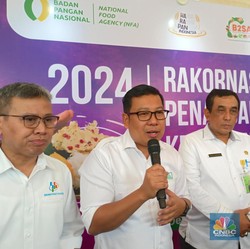 Pengakuan Bos Badan Pangan: Nyari Beras Impor 1,5 Juta Ton Ngos-Ngosan