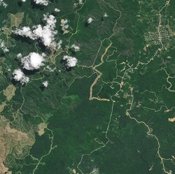NASA Foto IKN Jokowi dari Satelit, Penampakan Hutan Kalimantan Disorot