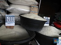 Harga Beras Pecah Rekor Tembus Rp16.400, Bos Bapanas Ramal Kapan Turun