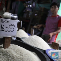 Terungkap! Ternyata Ini Alasan RI Jarang Impor Beras dari Kamboja