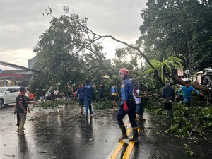 Pohon Tumbang Timpa Mobil, Lalin Ciawi-Gadog Macet