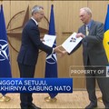 Video: Semua Anggota Setuju, Swedia Akhirnya Gabung NATO