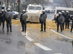 Bentrok di Brussels, Petani Eropa Protes Anjloknya Pendapatan