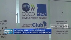 Indonesia Berpotensi Bergabung Dengan OECD, Ini Manfaat Bagi Ekonomi
