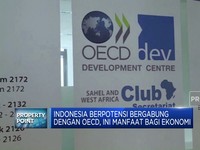 Indonesia Berpotensi Bergabung Dengan OECD, Ini Manfaat Bagi Ekonomi