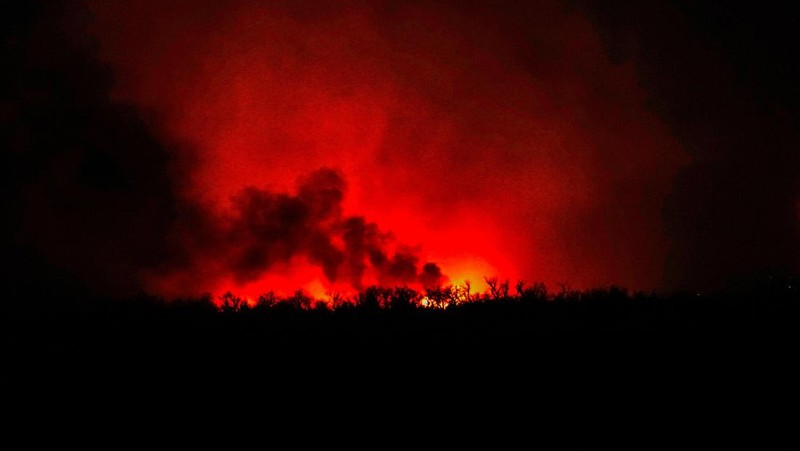 Kebakaran hutan yang memicu evakuasi terjadi di utara Shattuck, Oklahoma, AS, 27 Februari 2024. (REUTERS/Nick Oxford)