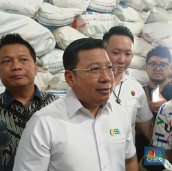 Panen Raya Mulai Terlihat, Harga Beras Diprediksi Turun Awal Maret
