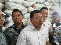 Panen Raya Mulai Terlihat, Harga Beras Diprediksi Turun Awal Maret