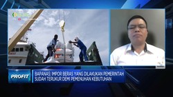 Video: Pemerintah Bakal Impor Beras Lagi, Buat Apa?