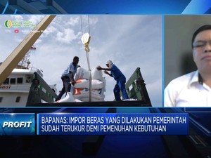 Video: Pemerintah Bakal Impor Beras Lagi, Buat Apa?