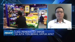Video: Pemerintah Mau Impor Beras Lagi, Sampai Kapan?