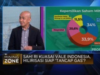 Video: Pemerintah RI Kuasai 34% Saham Vale, Apa Dampaknya?