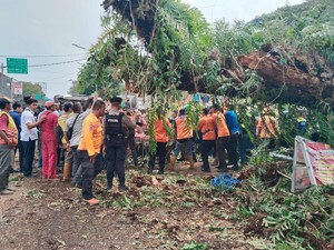 Atin Tewas Tertimpa Pohon Tumbang di Warung Nasi Miliknya