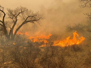 Texas Hadapi Kebakaran Hutan Terbesar dalam Sejarah