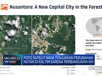 Video: Satelit NASA Tunjukkan Perubahan Hutan Kalimantan Akibat IKN