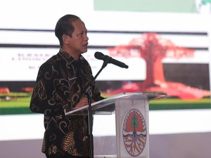 KLHK Ungkap Progress Redistribusi TORA, Capai 2,9 Juta Hektare