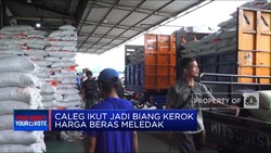 Video: Banyak Caleg Borong Beras & Picu Kenaikan Harga