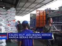 Video: Banyak Caleg Borong Beras & Picu Kenaikan Harga
