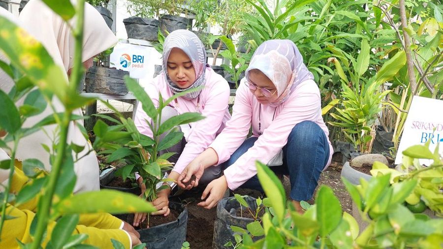 BRI Sustainable Finance