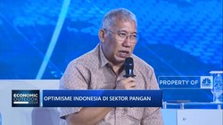 Video: Beras India Segera Datang, Bos Bulog Optimistis Stok Cukup