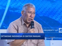 Video: Beras India Segera Datang, Bos Bulog Optimistis Stok Cukup