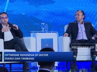 Video: Harga Nikel Turun Gara-gara Indonesia, Ini Kata Pemerintah!