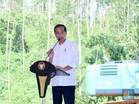 Jokowi Ungkap Usai Pemilu 2024 Banyak Investor Antre Incar IKN